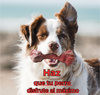 Hueso masticable Indestructible