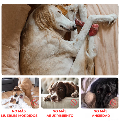 Hueso masticable Indestructible